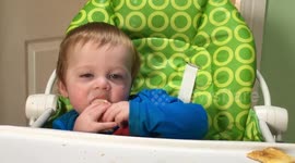 Baby falls asleep while eating toast