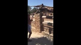 Giraffe eats peanut out of man's ear