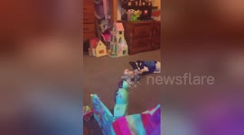 Newsflare Edit - Surprise puppy present for my daughter
