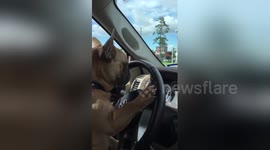 Newsflare Edit - Prudhoe drives