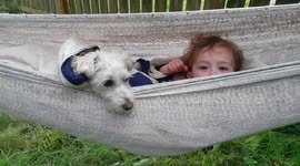 SO CUTE Fluffy Dog and Toddler Peeking out of Hammock