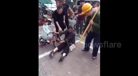 Woman pretends to be crashed by child's bike