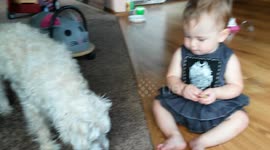 Laughing Baby Feeds Bread to Dog Like He's a Flock of Pigeons