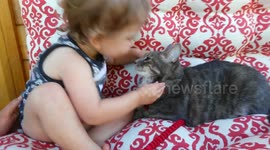 Sweet Toddler Kisses Cat on the Mouth, Blushes