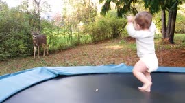 Baby dancing on trampoline meets wild deer