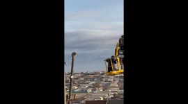 Lynx chased by dogs climbs power line pole in Tatarstan, Russia