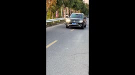 Puppy rescued from under car in Jiangsu, China