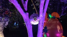 US: Houses in Celebration, Florida, are getting ready for Halloween