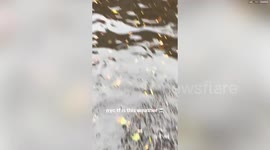 NYC floods: Video shows vehicles partially submerged in floodwaters