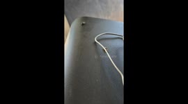 Spider Stalks a Fly and Husband Is Dehydrated