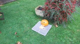 Halloween Garden of Horrors 2025: Enter If You Dare!