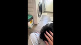 Dunkin the Twerking Dog