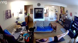 Kitten Turns Calisthenics Into Playtime