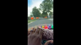 Pumpkin Neighborhood