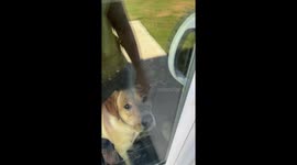 My Dog Locked Me Out of My House