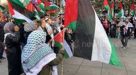 Palestinian Solidarity Rally: Berlin