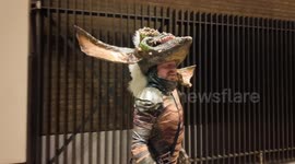 Funnyman Leigh Francis arrives at the annual Hallozeem party dressed as a Gremlin