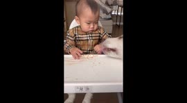 Husky helps clean baby’s high chair in USA