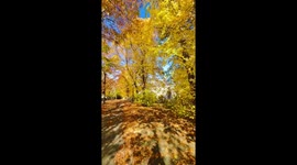 Vibrant fall colors brighten the landscape in St. John’s, Canada