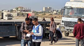 New humanitarian convoy reaches Gaza amid fragile ceasefire