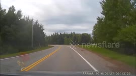Idiot on phone almost drives into me