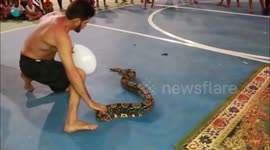 'Ninja of Serpents' performs live shows with snakes and spiders