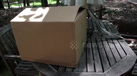 CONFRONTING MY EBAY SCAMMER: PS4 UNBOXING! *WORST EBAY SCAMMER EVER!*