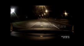 DOG HIT BY CAR THNKFULLY MINOR