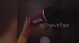 Newsflare Edit - When coffee is life!
