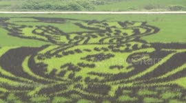 Giant image of the 'Monkey King' from famous Chinese novel carved out of rice field