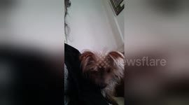 Newsflare Edit - Billy demands a cup of tea