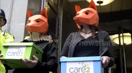 Anti-fox hunt protesters gather in Westminster