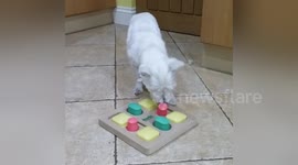 Newsflare Edit - puzzle 1