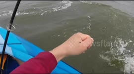 Man goes kayak fishing in gale-force winds, catches huge pike on first attempt