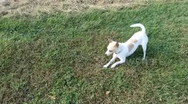 Iona meets a butterfly