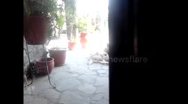 Relax with cats!! :D