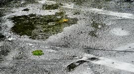 A rainy summer day in Florida