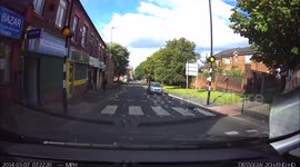 'Clever' cat knows how to cross a road