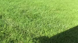 Man ties an iPhone to a kite and records in slow-motion