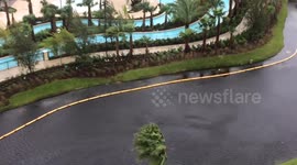 Hurricane Matthew