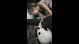 cute cat