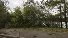 Aftermath of Hurricane Matthew in Savannah