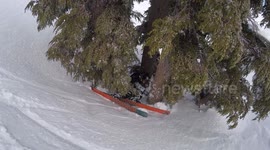 Skier performs a hilariously graceful backflip into a tree well