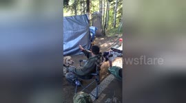 'Clever' dog fetches beer for owner