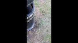 Car crash