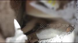 Parents killed protecting young daughter during house collapse