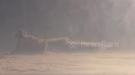 Cloud shaped like a speed boat filmed from plane