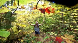 Beautiful slow-motion Autumn leaves falling