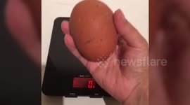Couple Shell-Shocked After Discovering Massive Egg - With Another Egg Inside