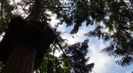 Zip wire fail